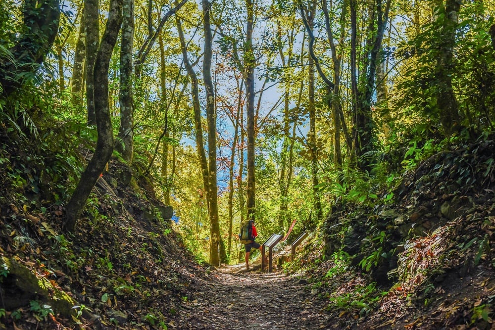 Someone searching for where to camp in Big Sur for free