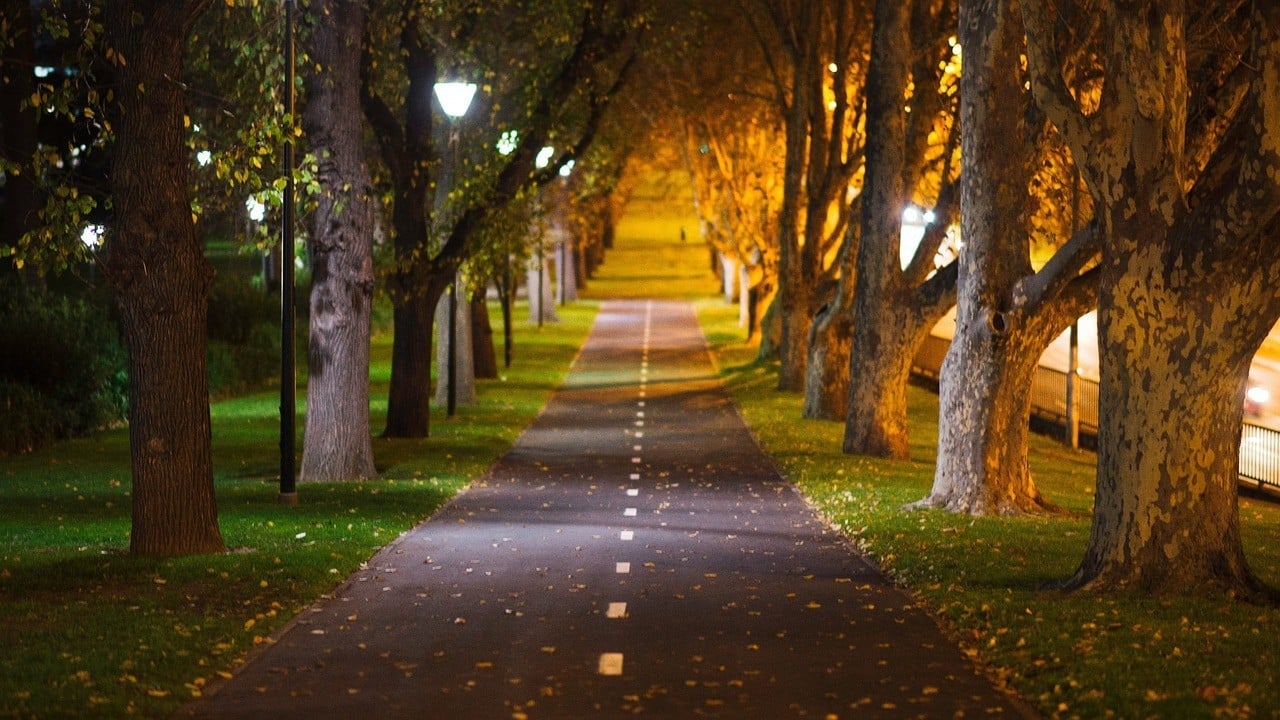 autumn-colors-in-melbourne