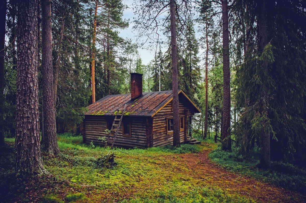 Working an online teaching job from a cabin in the woods