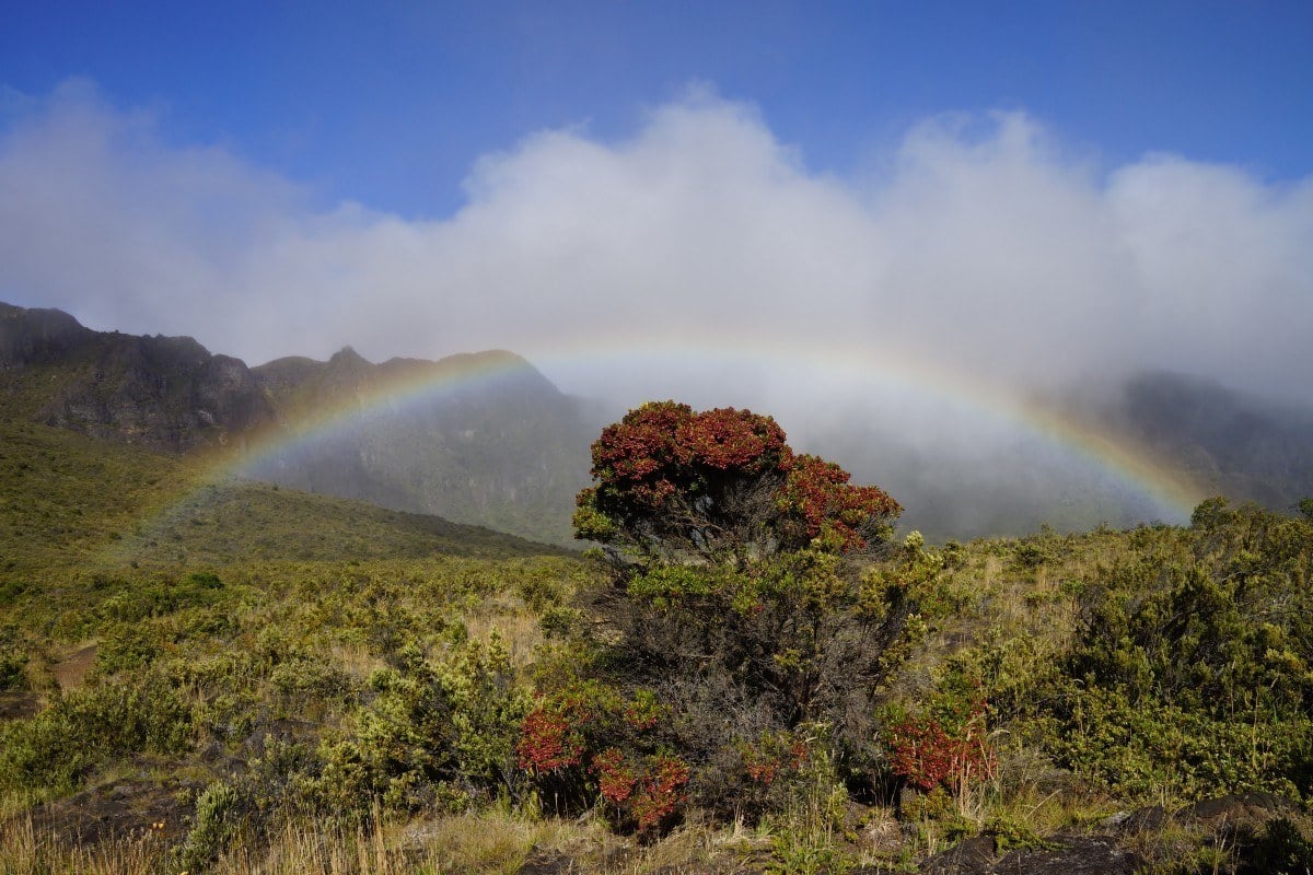 best national parks in the USA