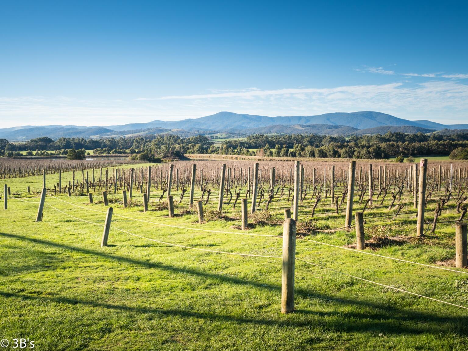 yarra-valley-vineyards-3bs-flickr