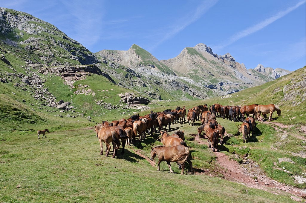 pyrenees by france