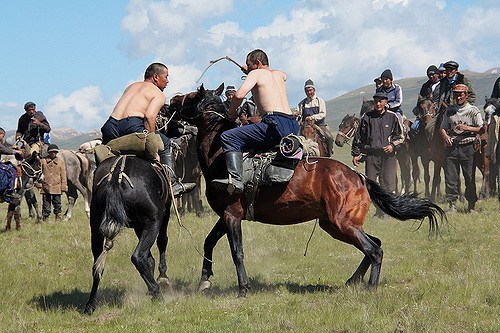 horses in Kyrgyzstan