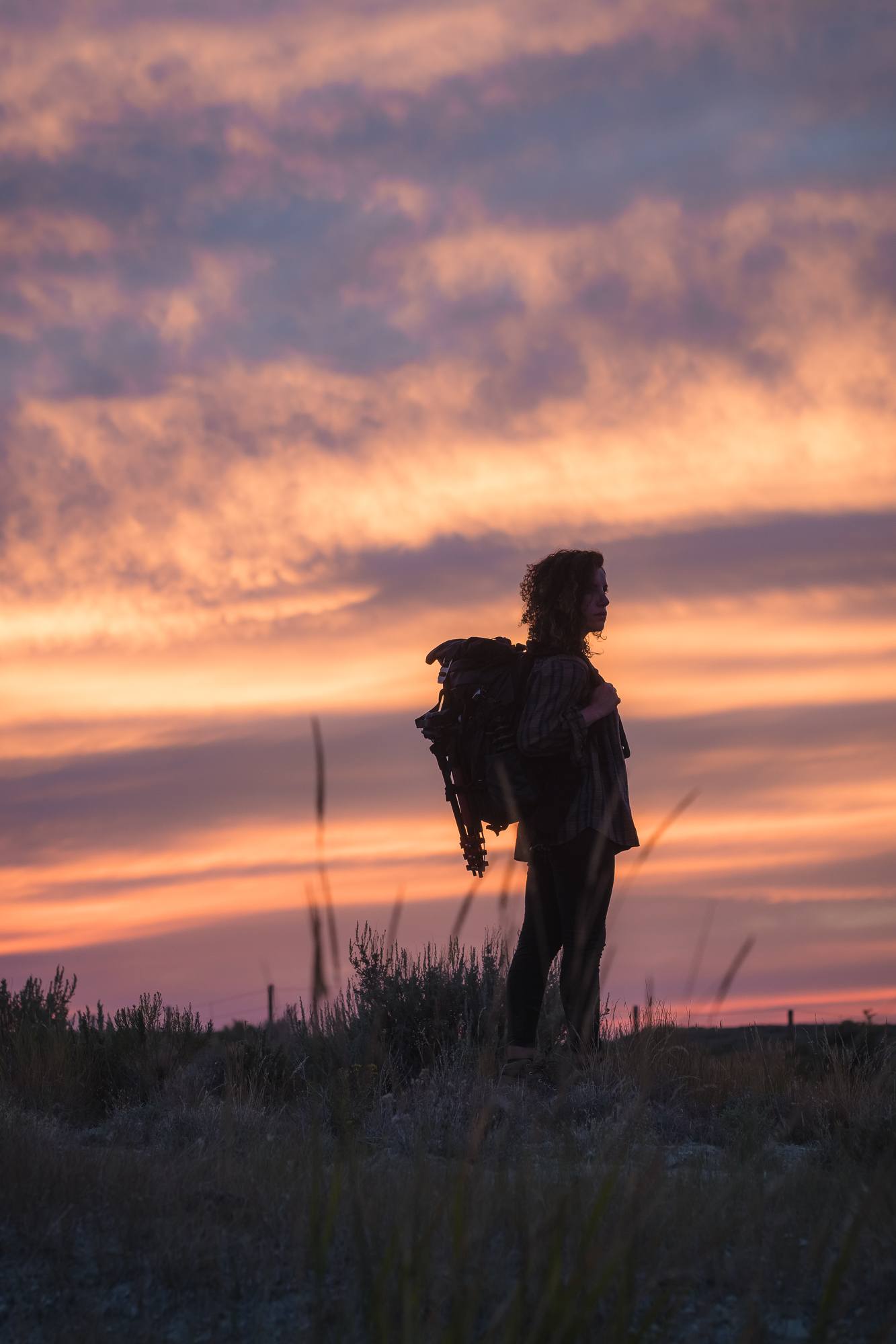 wyoming sunset with wndrd prvke 31 roaming ralph