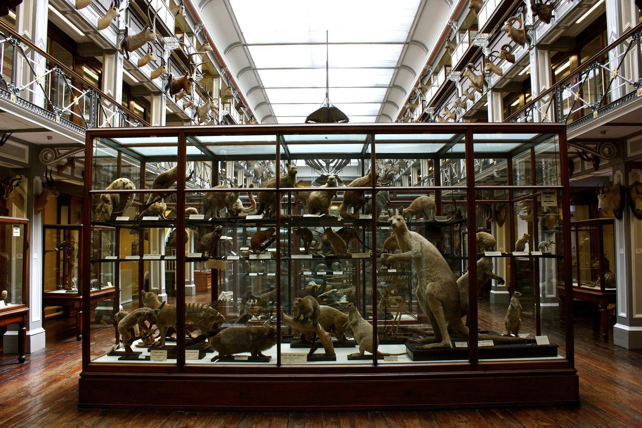 Natural History Museum
