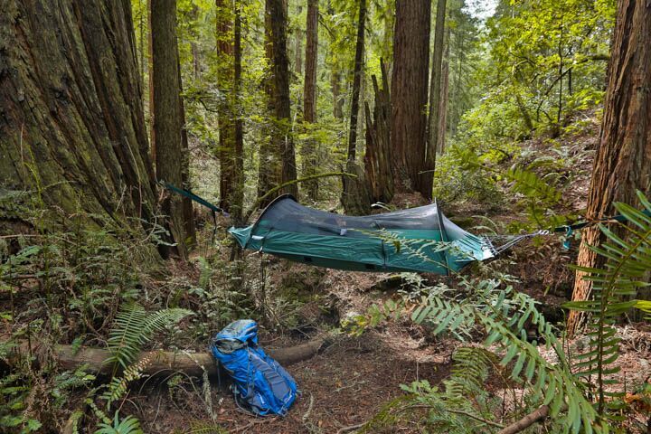 lawson hammocks