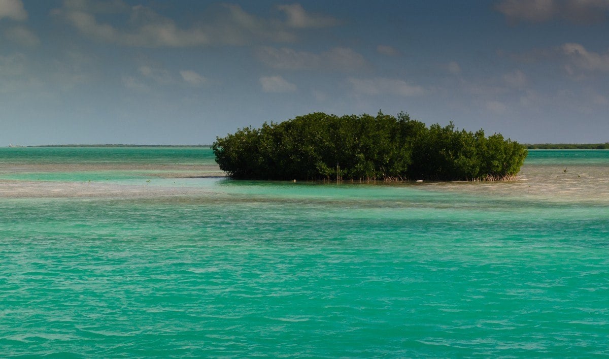 scuba diving in cuba