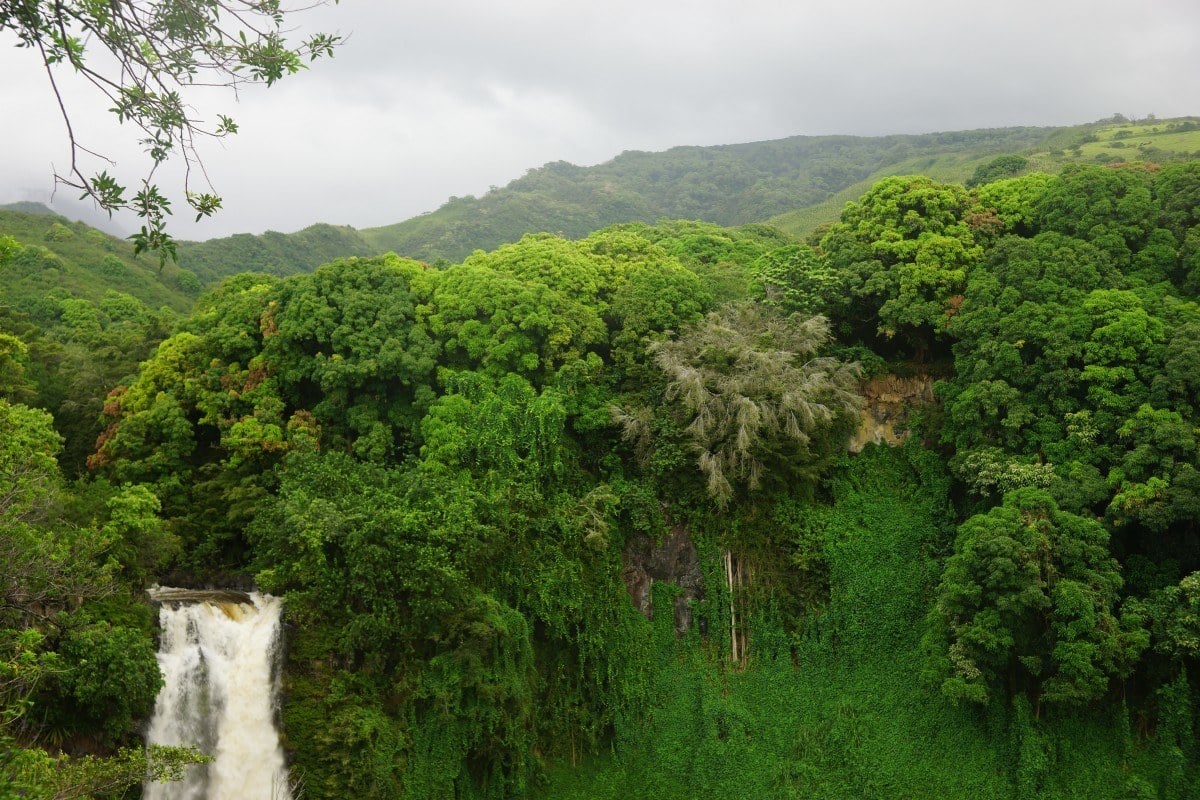 backpacking hawaii