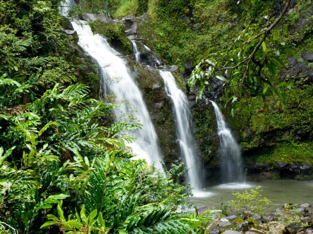 lush tropical jungles and waterfalls make visiting Oahu magical 