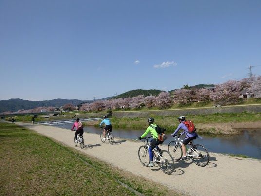 Cycling around Kyoto