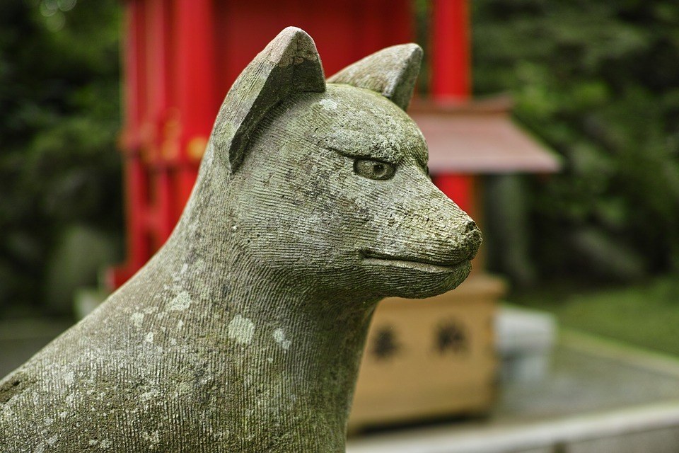 Fox Shrine - Place to go in Kyoto