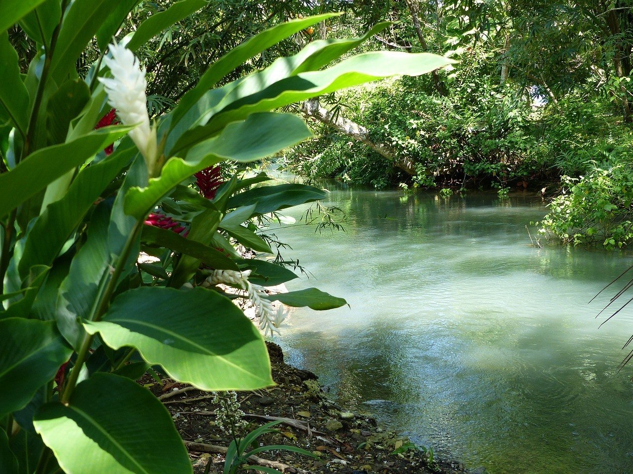 Port Antonio, Jamaica