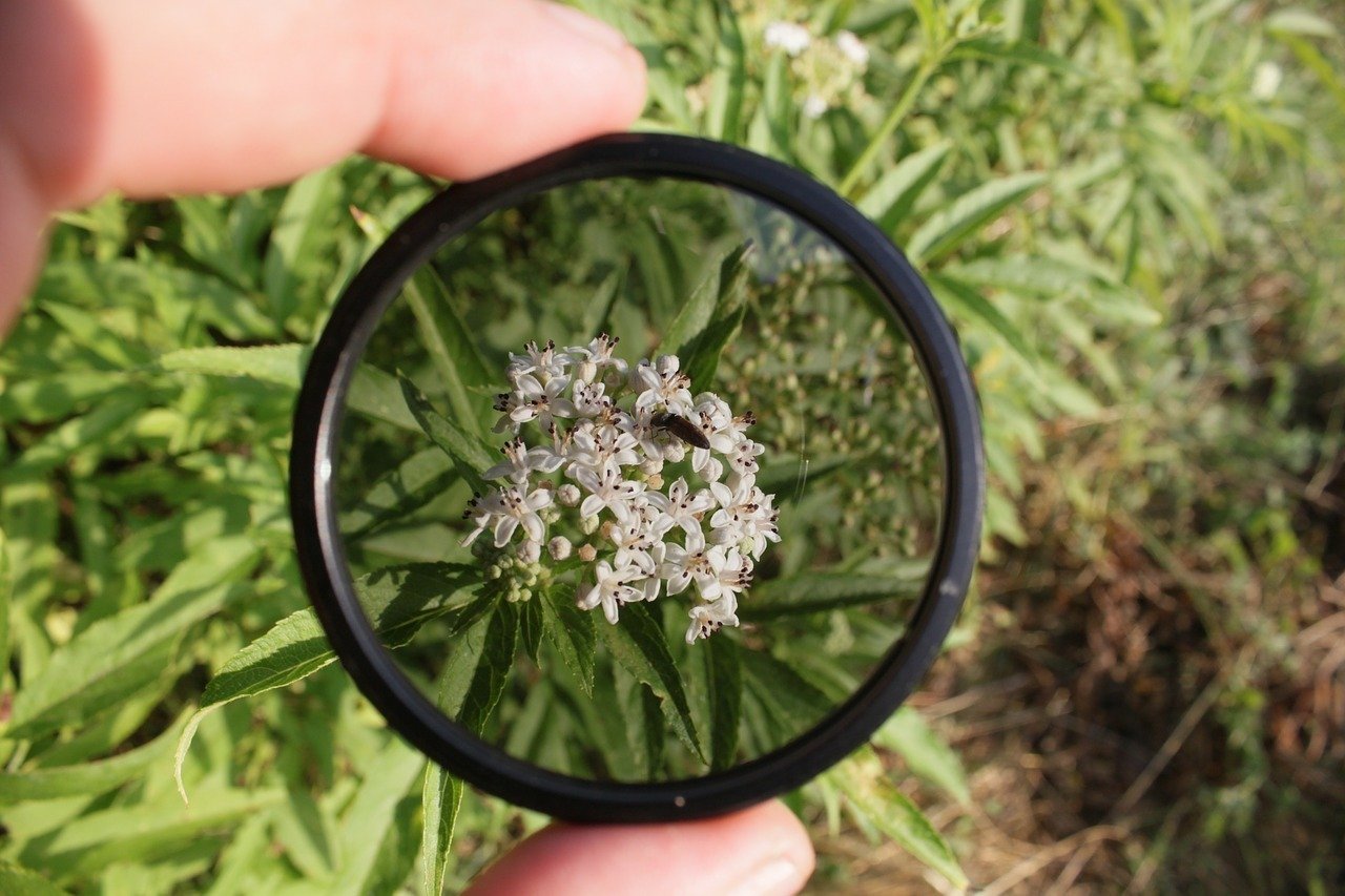 best camera accessories polarizers 