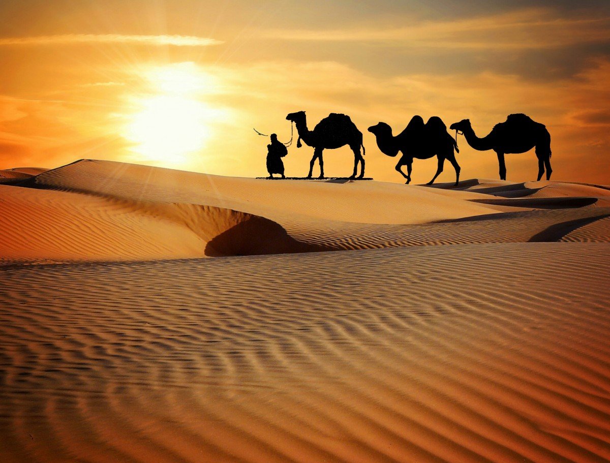 Man covered by the best travel insurance camel trekking