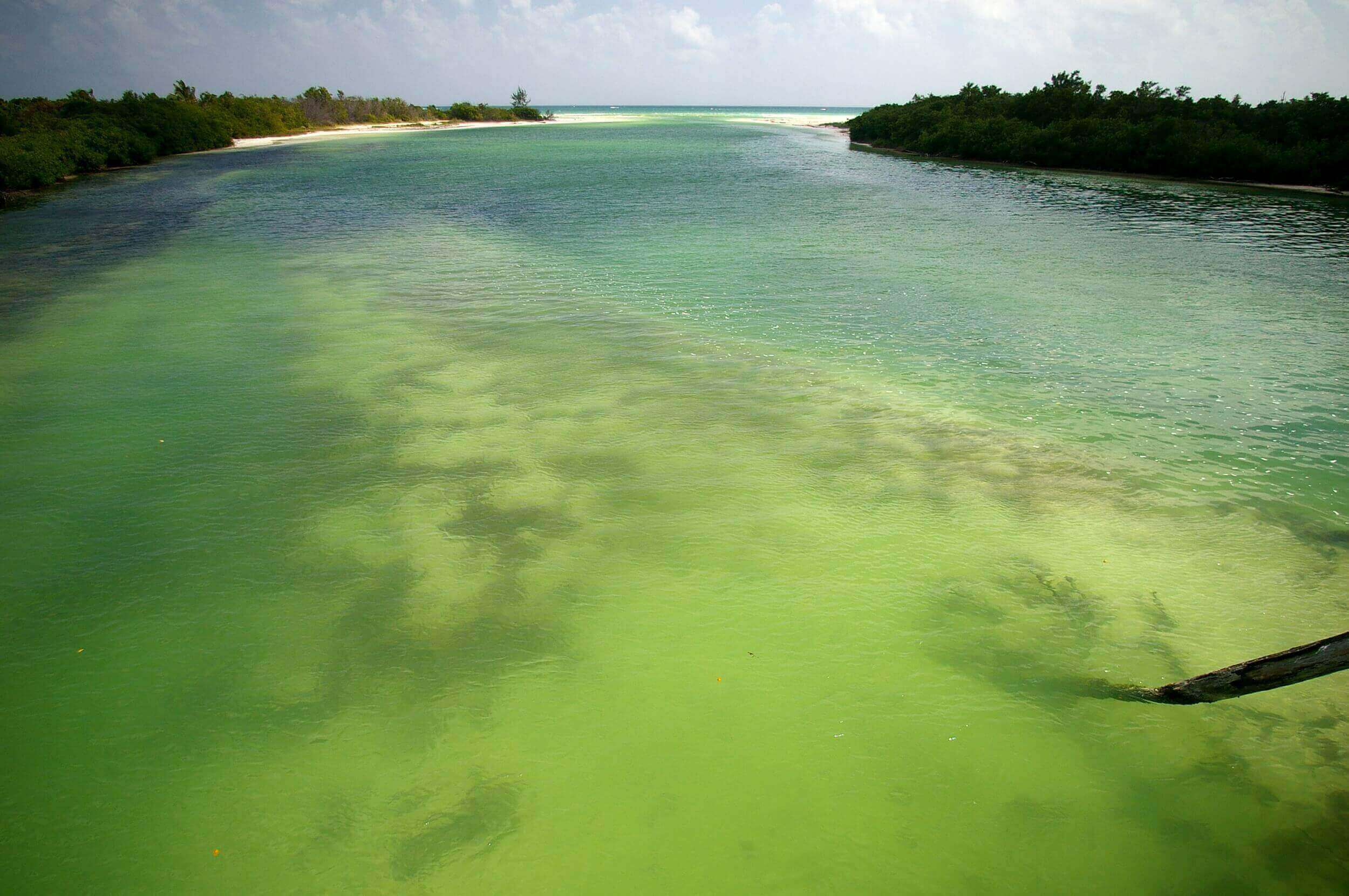 Aldea Zama Tulum