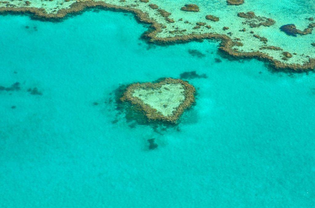 Coral Reef Australia Coral Great Barrier Reef Heart