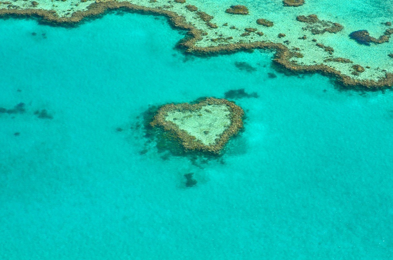 Coral Reef Australia Coral Great Barrier Reef Heart