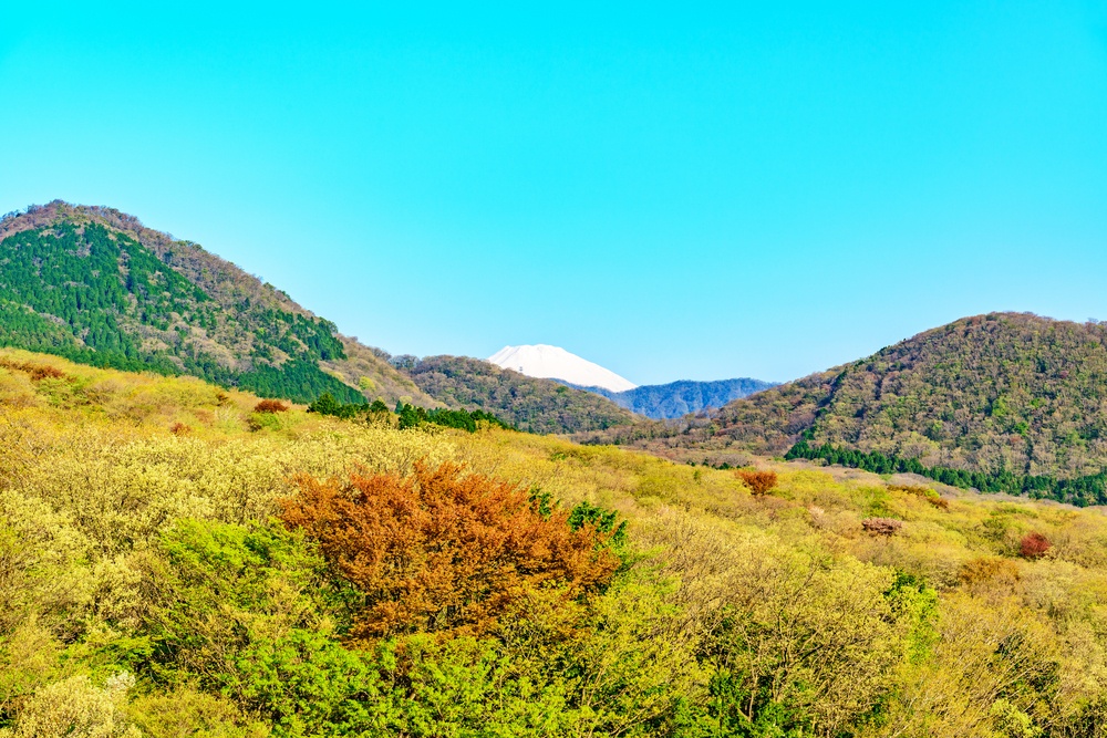 Gora, Hakone