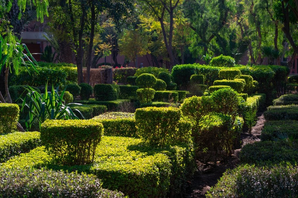 Hivernage ttd Marrakech
