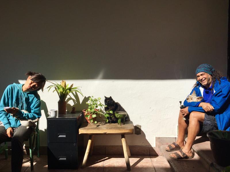 Hostal Central best hostels in Oaxaca, with two people smiling in the sunshine with a puppy and a cat