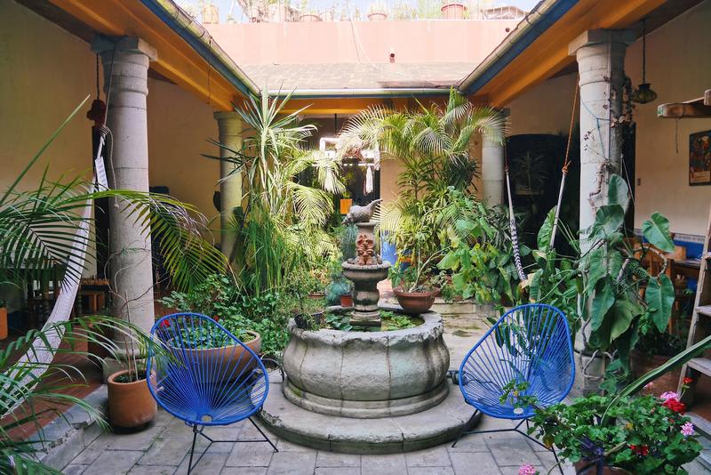 Hostal Luz de Luna best hostels in Oaxaca, view of the garden with tropical plants, comfy chairs and hammocks