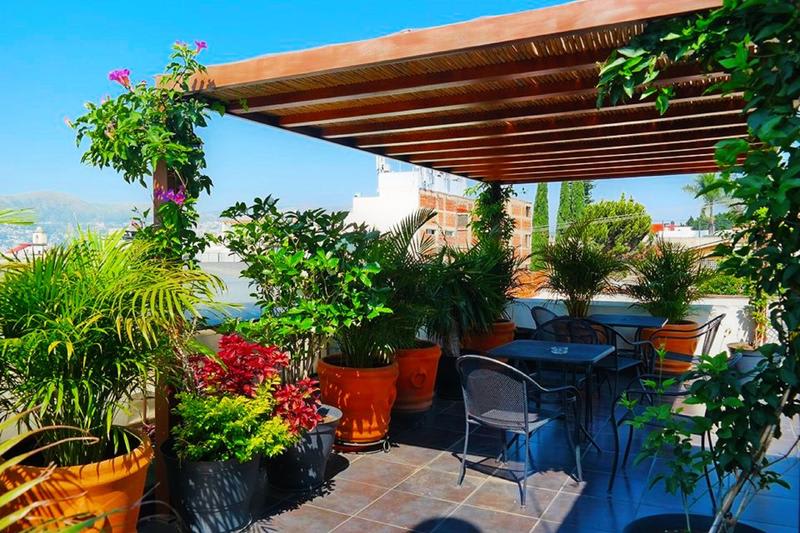 Hostel De Las Americas best hostels in Oaxaca with green rooftop garden