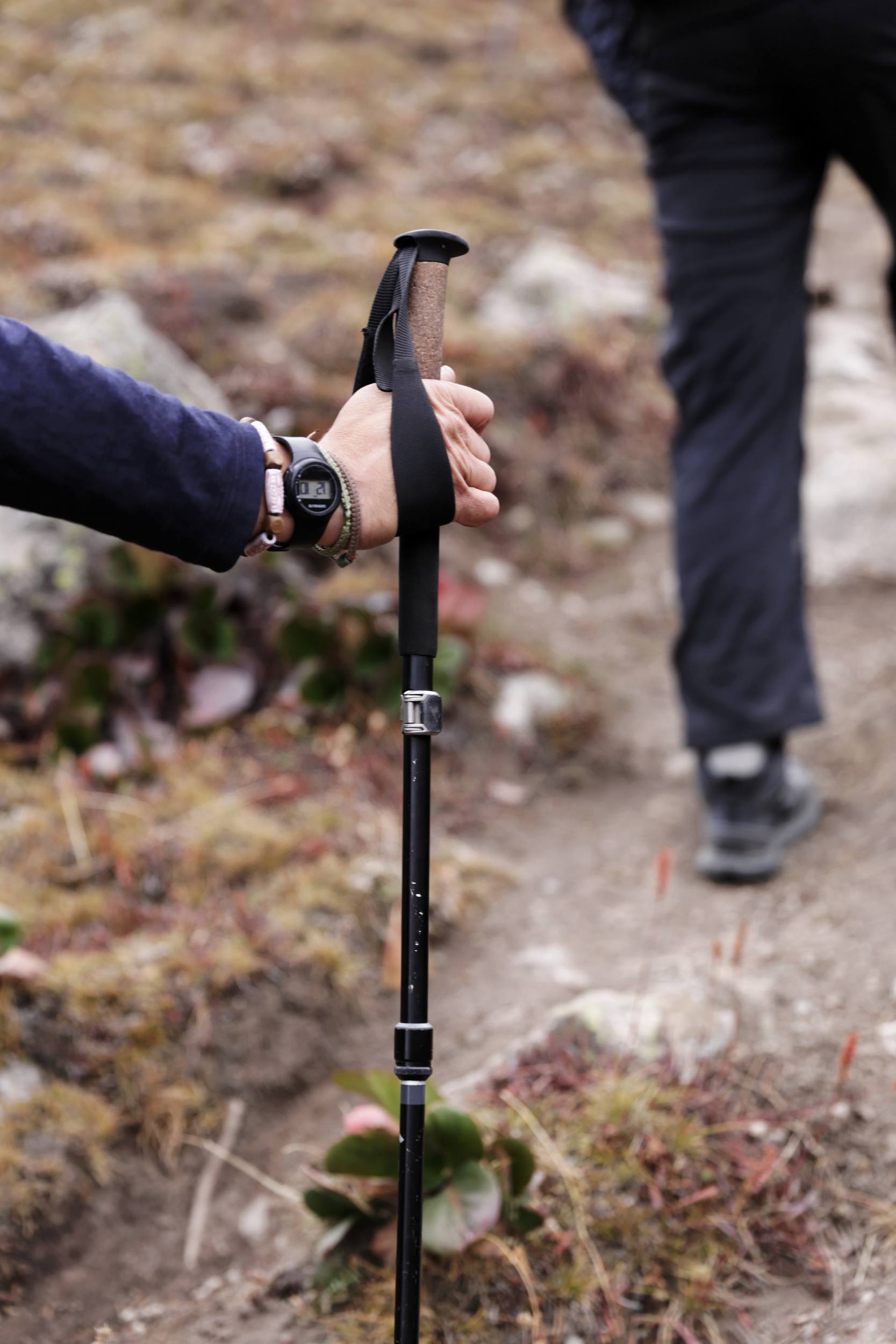 black diamond alpine flz review black diamond alpine flz review