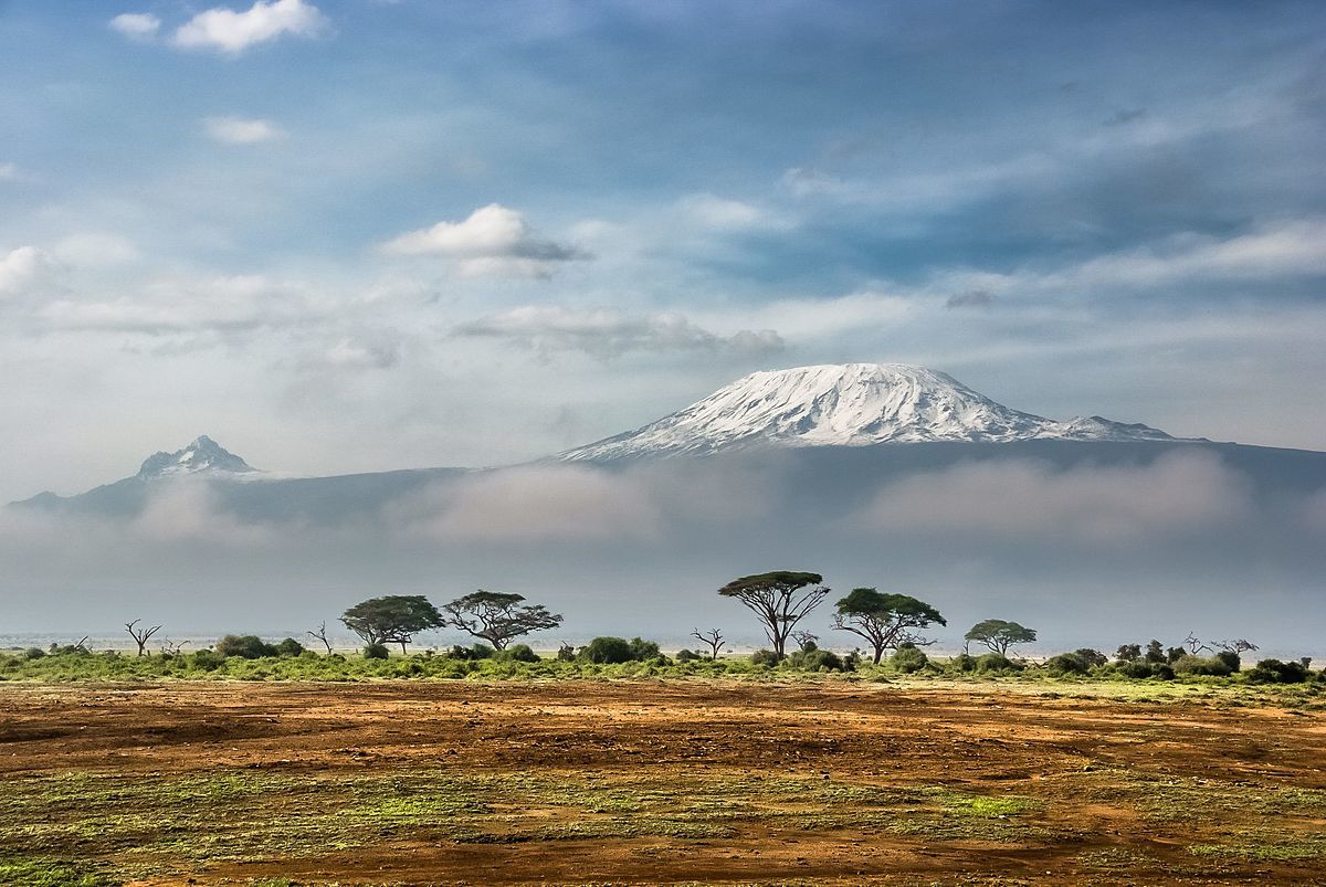 kilimanjaro and the savannah tanzania