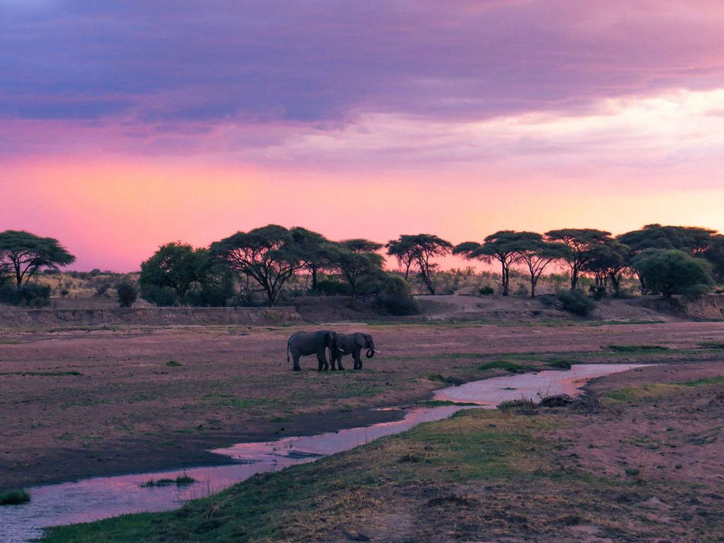 sunset in ruaha backpacking tanzania