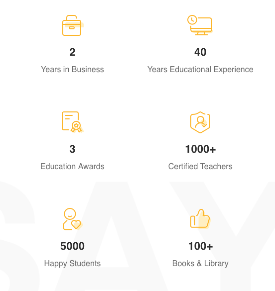 Infograph about online English teachers with SayABC