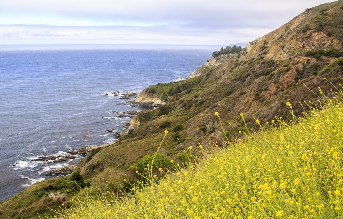 Los Burros road camping in Big Sur