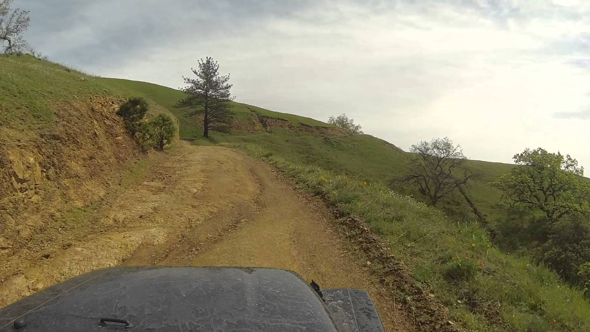 Plaskett Ridge Road camping in Big Sur