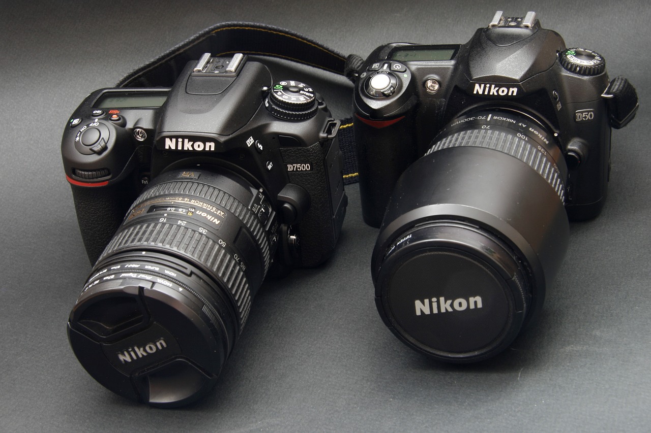 pair of nikon cameras