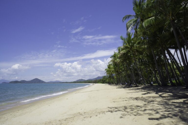 Backpacking Cairns Travel Guide