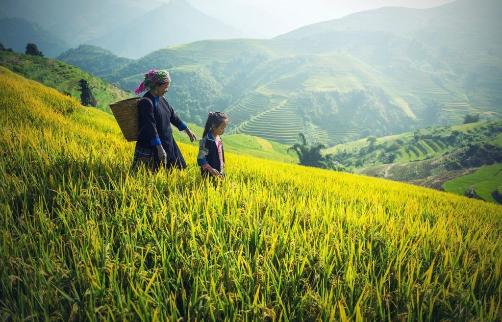balinese people in fields