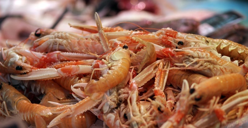 fresh prawns