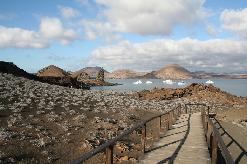 best Galapagos Tours