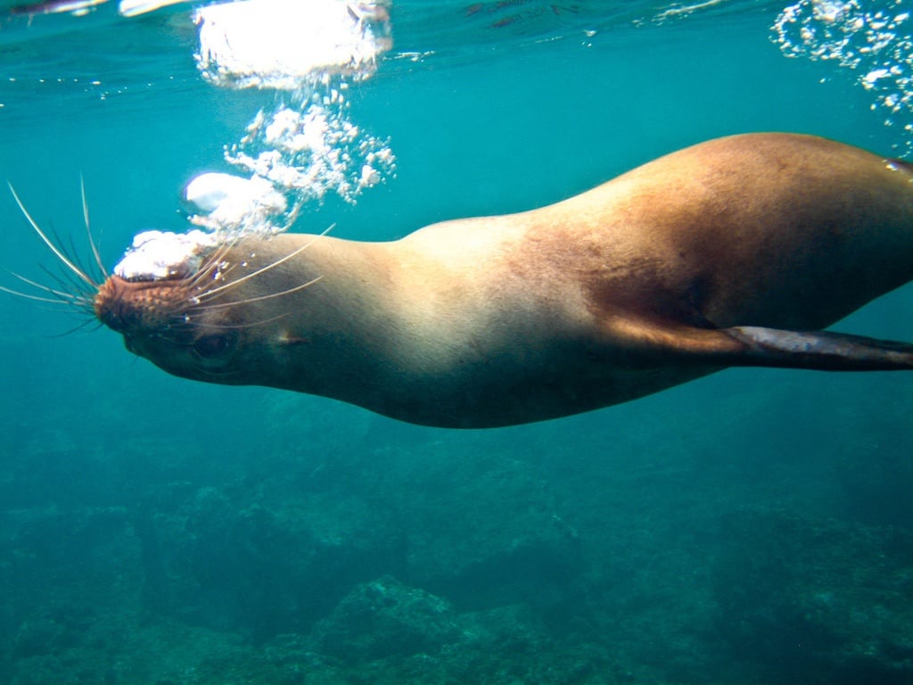 best Galapagos tours