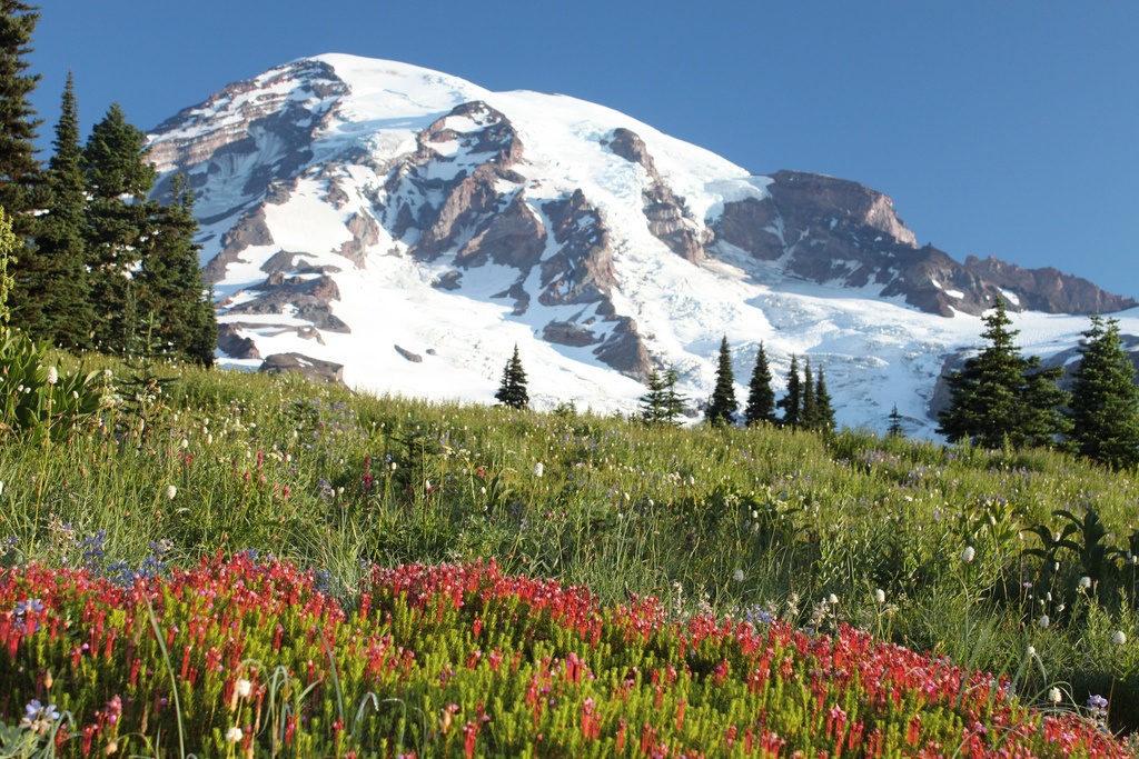 mt rainier cascades mountains and waterfall west coast road trip