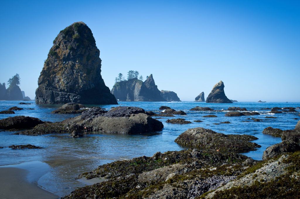 shi shi beach olympic peninsula washington road trip