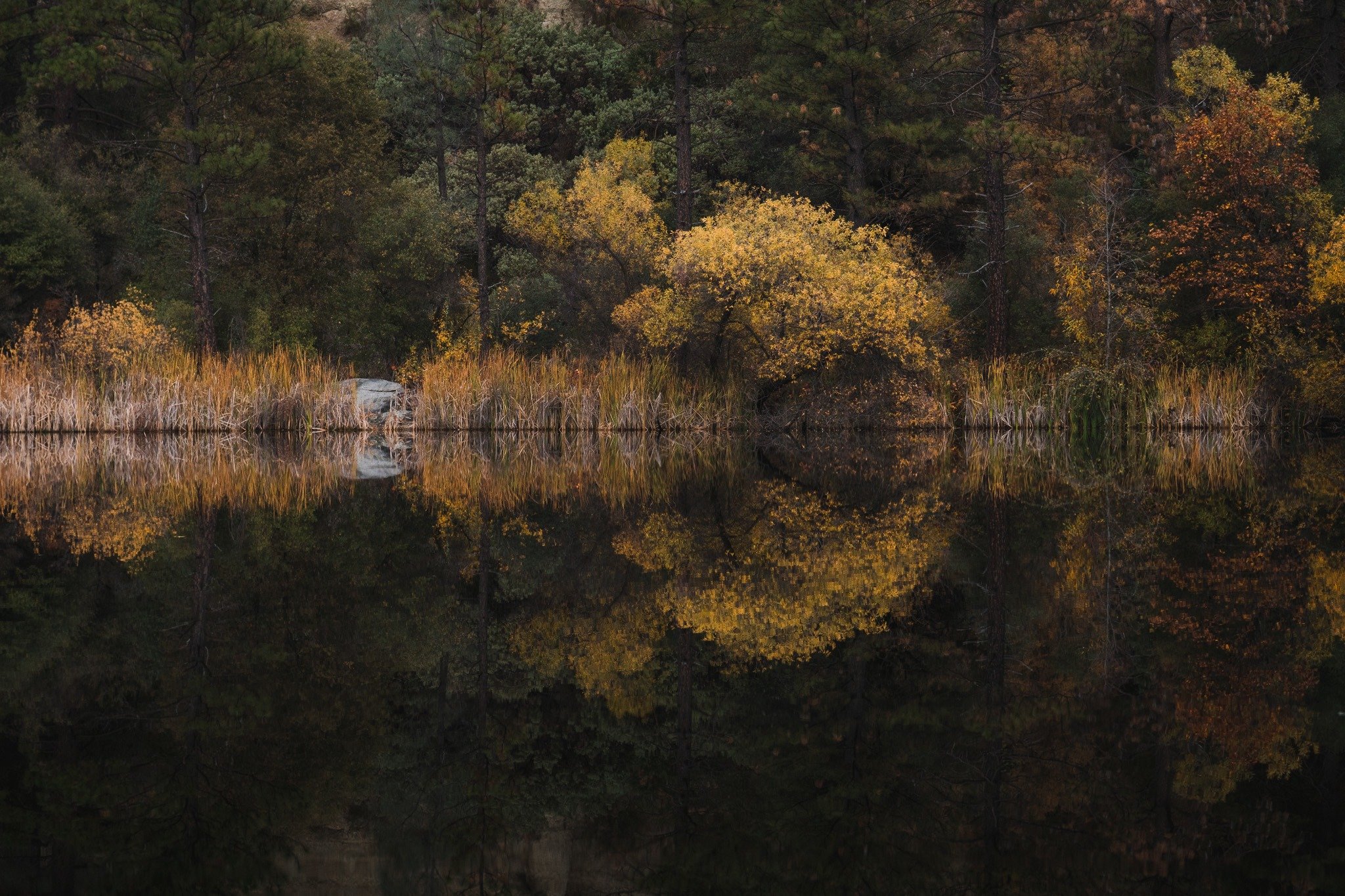 fall in California