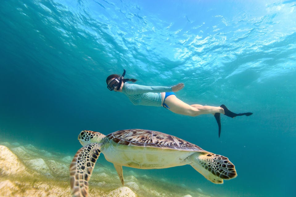 Woman scuba diving with a sea turtle in the tropical waters of the Gili Islands