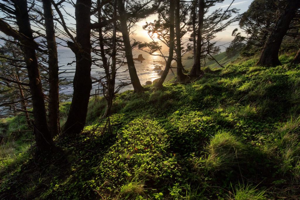 oregon coast sunset at indian beach oregon coast road trip roaming ralph photography