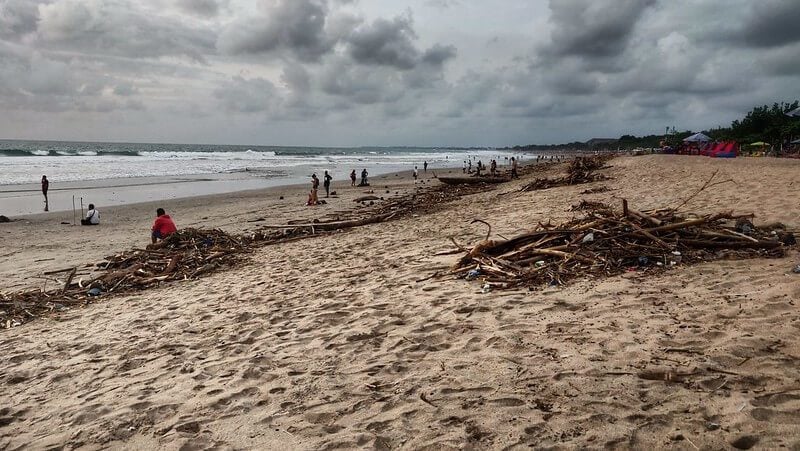 Participate in a Beach Cleanup