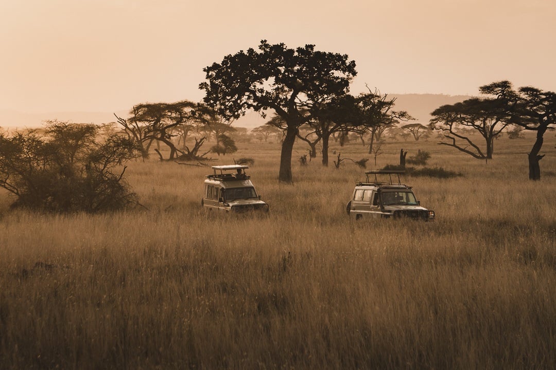 Safari in the Serengeti