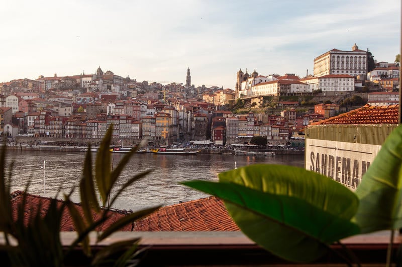 The House of Sandeman - Best hostel in Porto