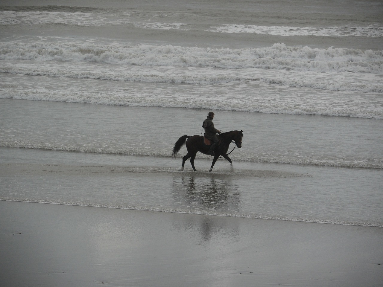 Travel around on horseback