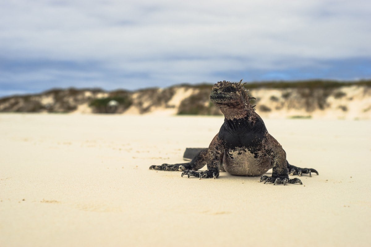 best Galapagos tours