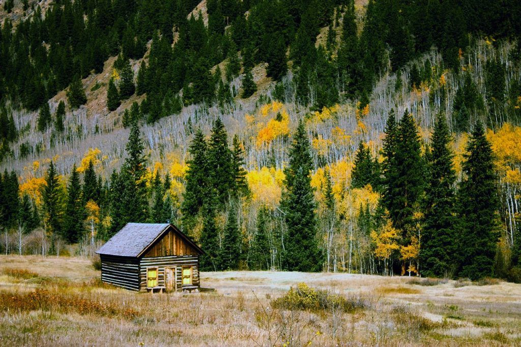 colorado log cabin in mountains autumn fall