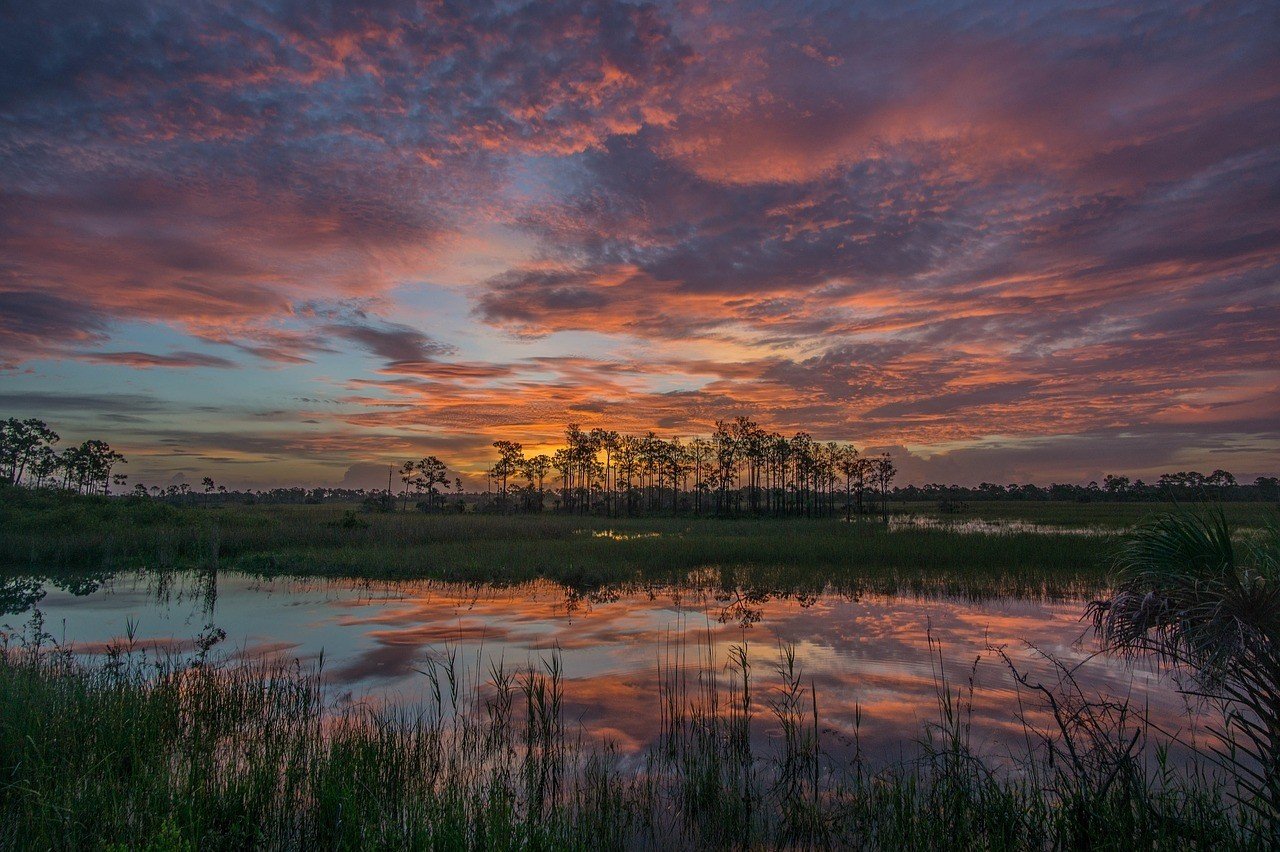 big cypress reserve sunset florida